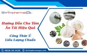 Hướng Dẫn Cho Tôm Ăn Tỏi Hiệu Quả