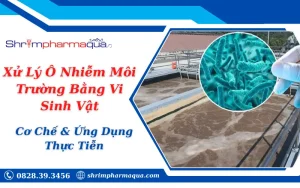 Xử Lý Ô Nhiễm Môi Trường Bằng Vi Sinh Vật: Cơ Chế & Ứng Dụng Thực Tiễn