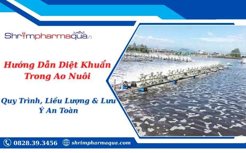 Hướng Dẫn Diệt Khuẩn Trong Ao Nuôi: Quy Trình, Liều Lượng & Lưu Ý An Toàn